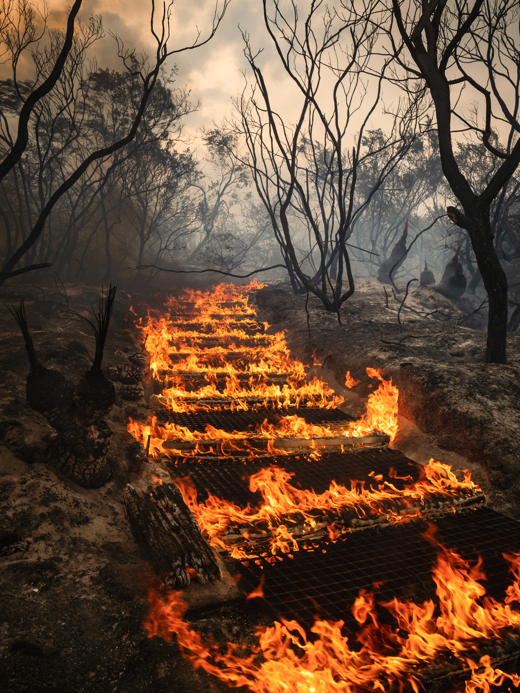 Cultural burn at first light — Aboriginal fire management, Australia — documentary photography by Matthew Abbott