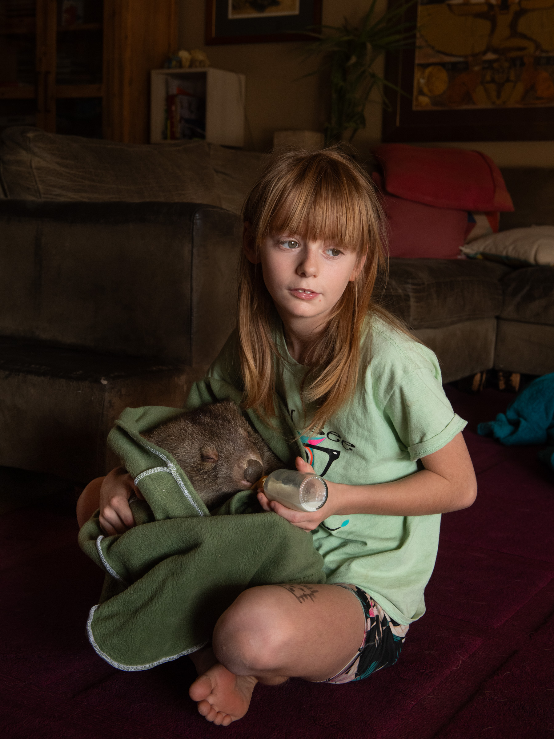 Young girl feeding a rescued wombat joey — wildlife recovery, Australia — photography by Matthew Abbott