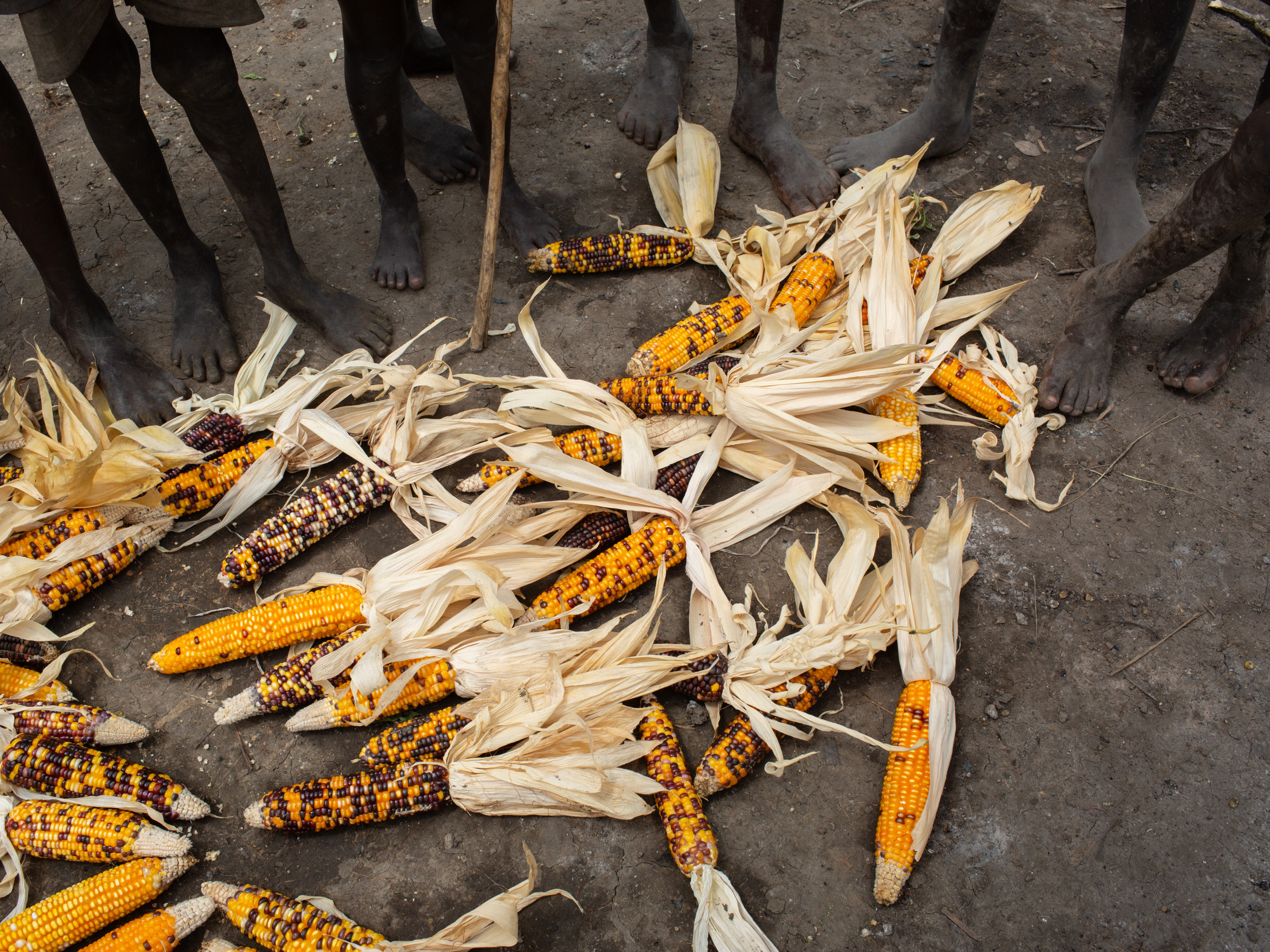 Corn cobs and villagers' feet, Dinka cattle camp, South Sudan — documentary photography by Matthew Abbott