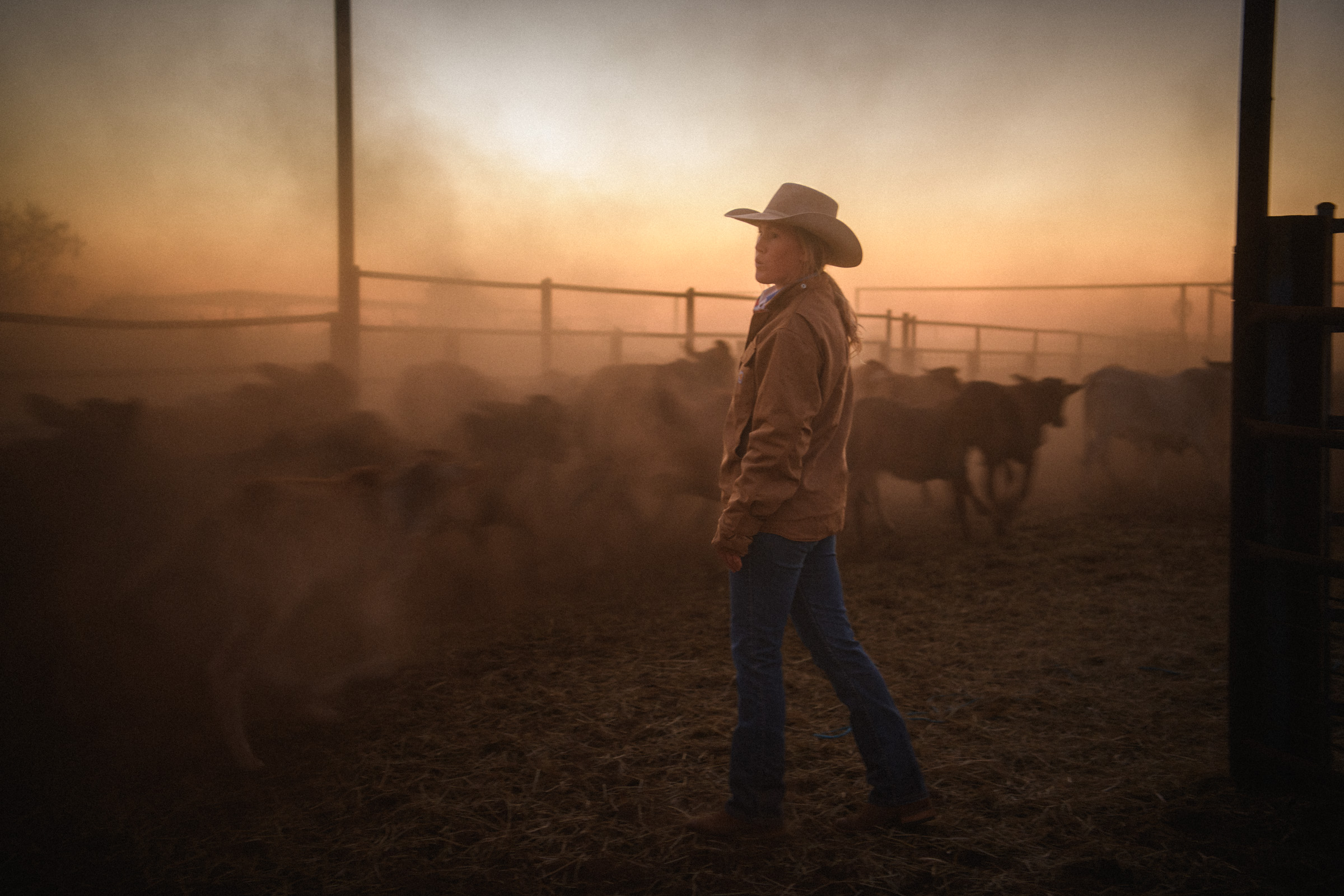 Cowgirl in the yards at dusk, outback cattle station, Australia — documentary photography by Matthew Abbott