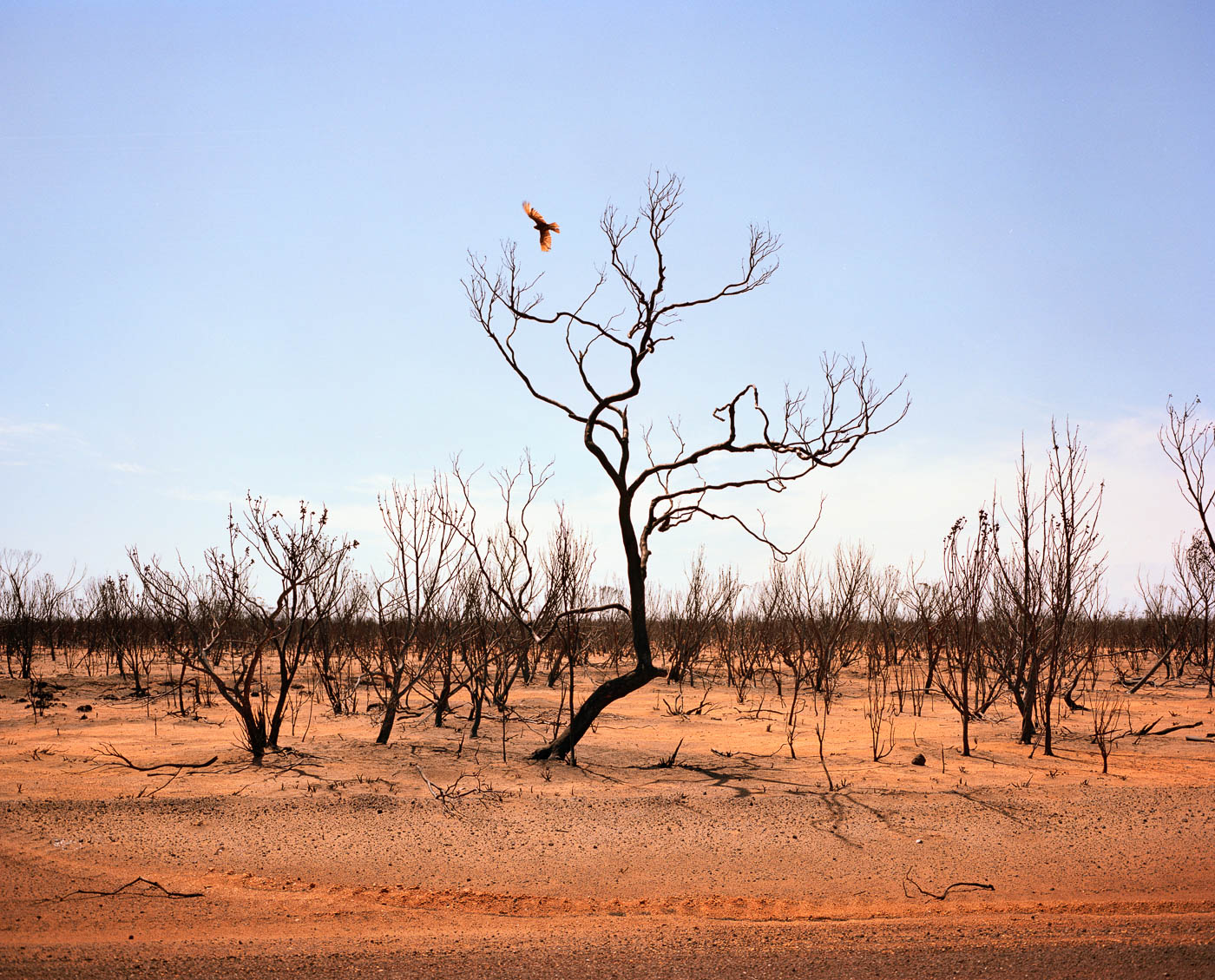 Highway One, Australia — Matthew Abbott photography