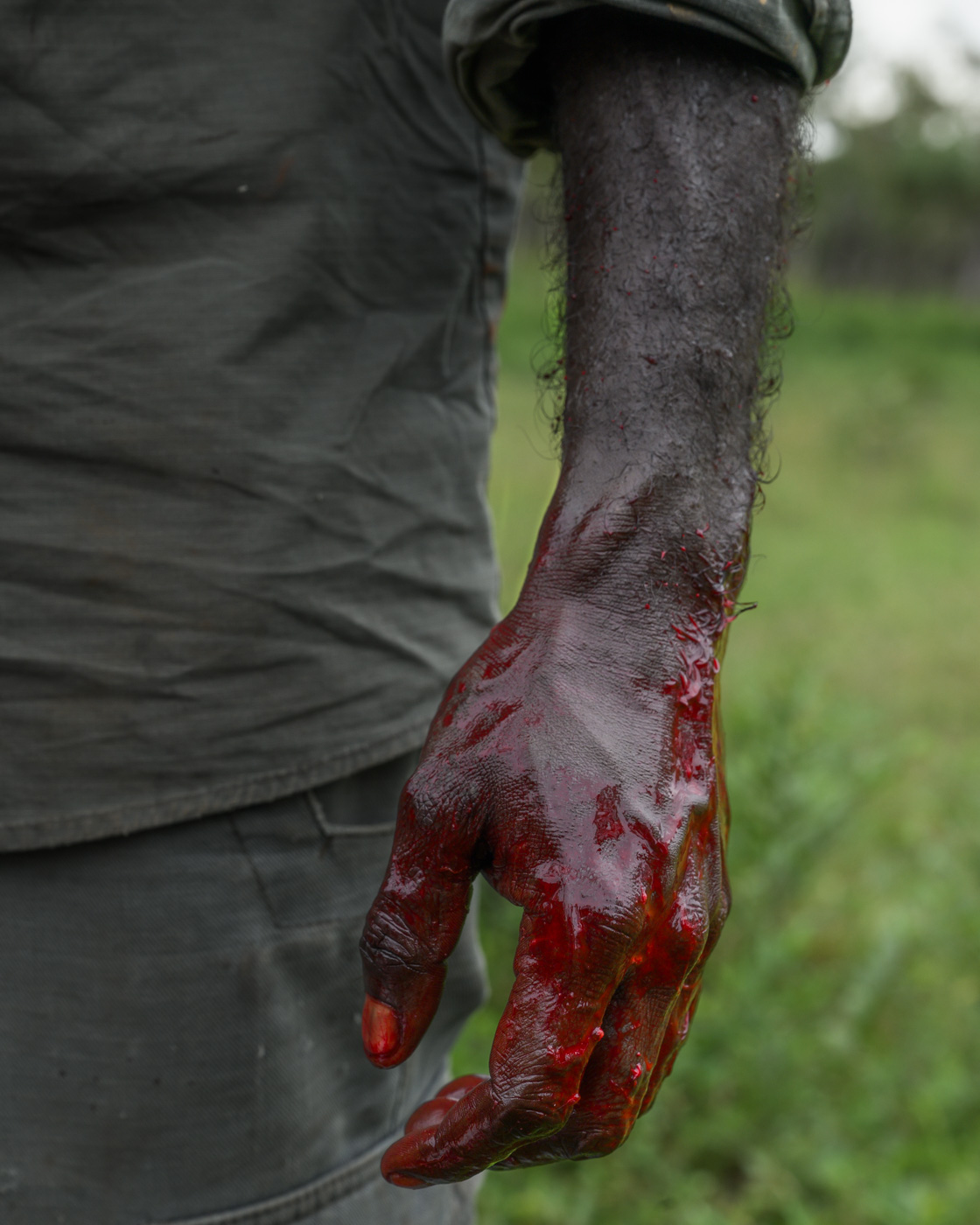 Earthy Animals — Matthew Abbott wildlife photography Australia