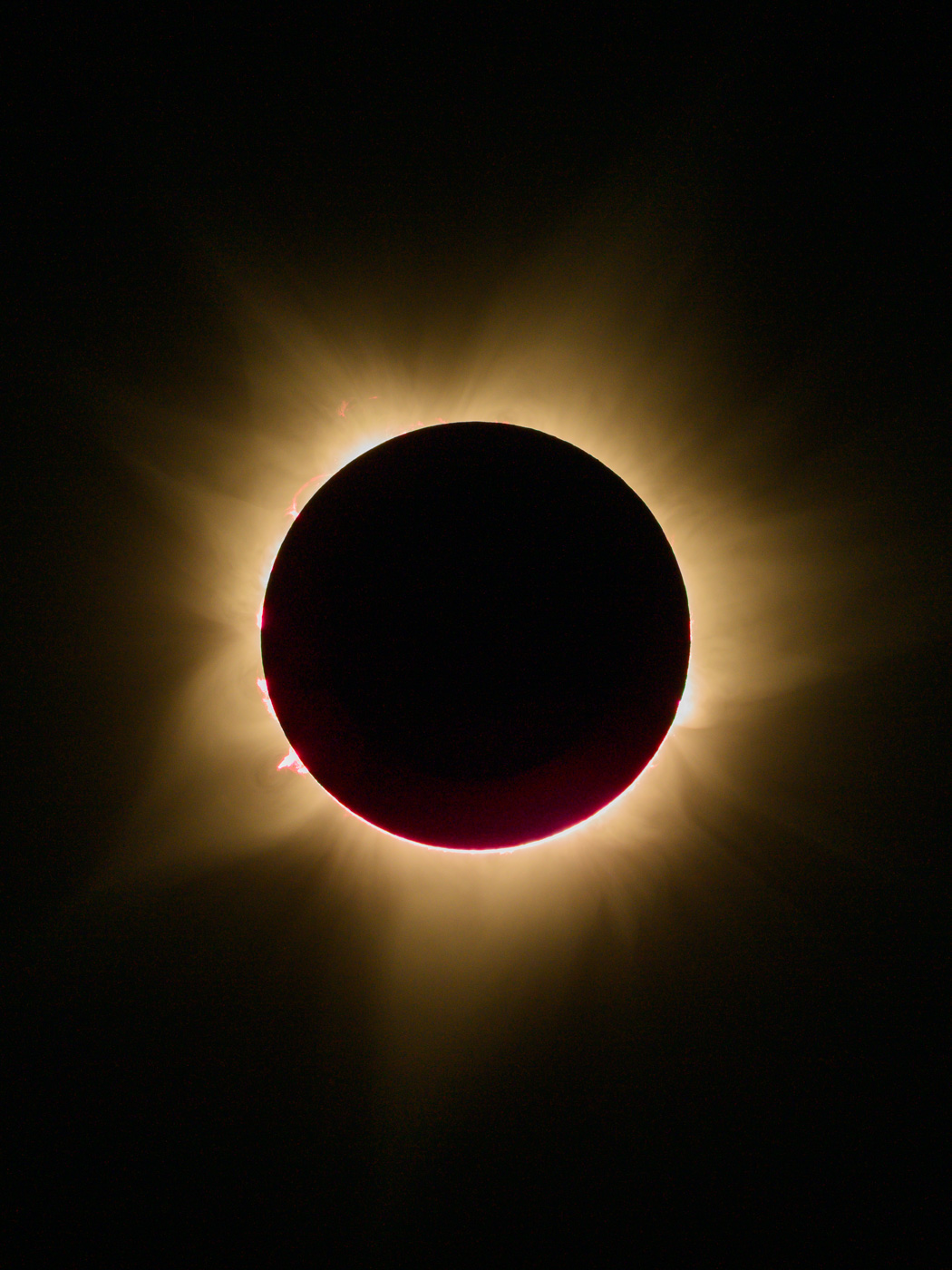 Earthy Animals — Matthew Abbott wildlife photography Australia