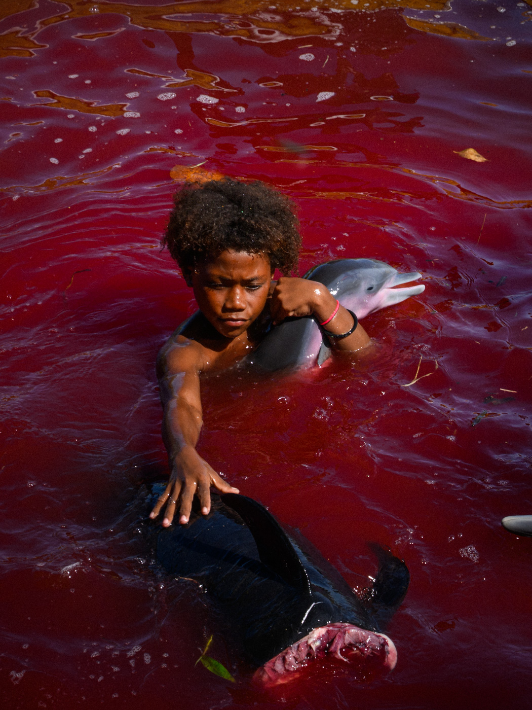 Earthy Animals — Matthew Abbott wildlife photography Australia