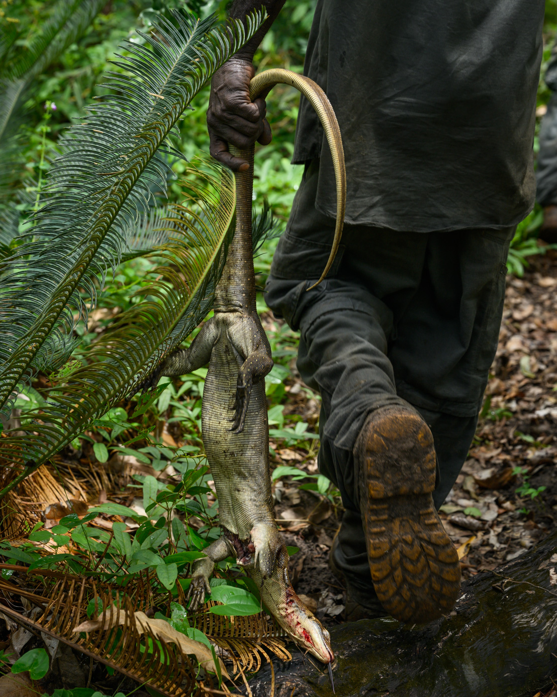 Crocodile Eggs — Matthew Abbott photography, Northern Territory Australia