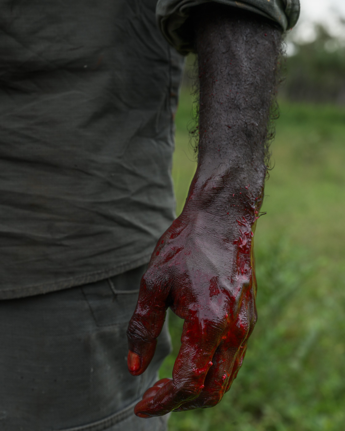 Crocodile Eggs — Matthew Abbott photography, Northern Territory Australia