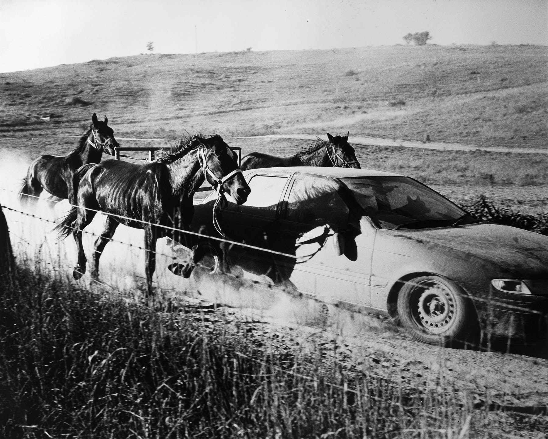 The Land Where the Crow Flies Backwards — Matthew Abbott documentary photography, outback Australia