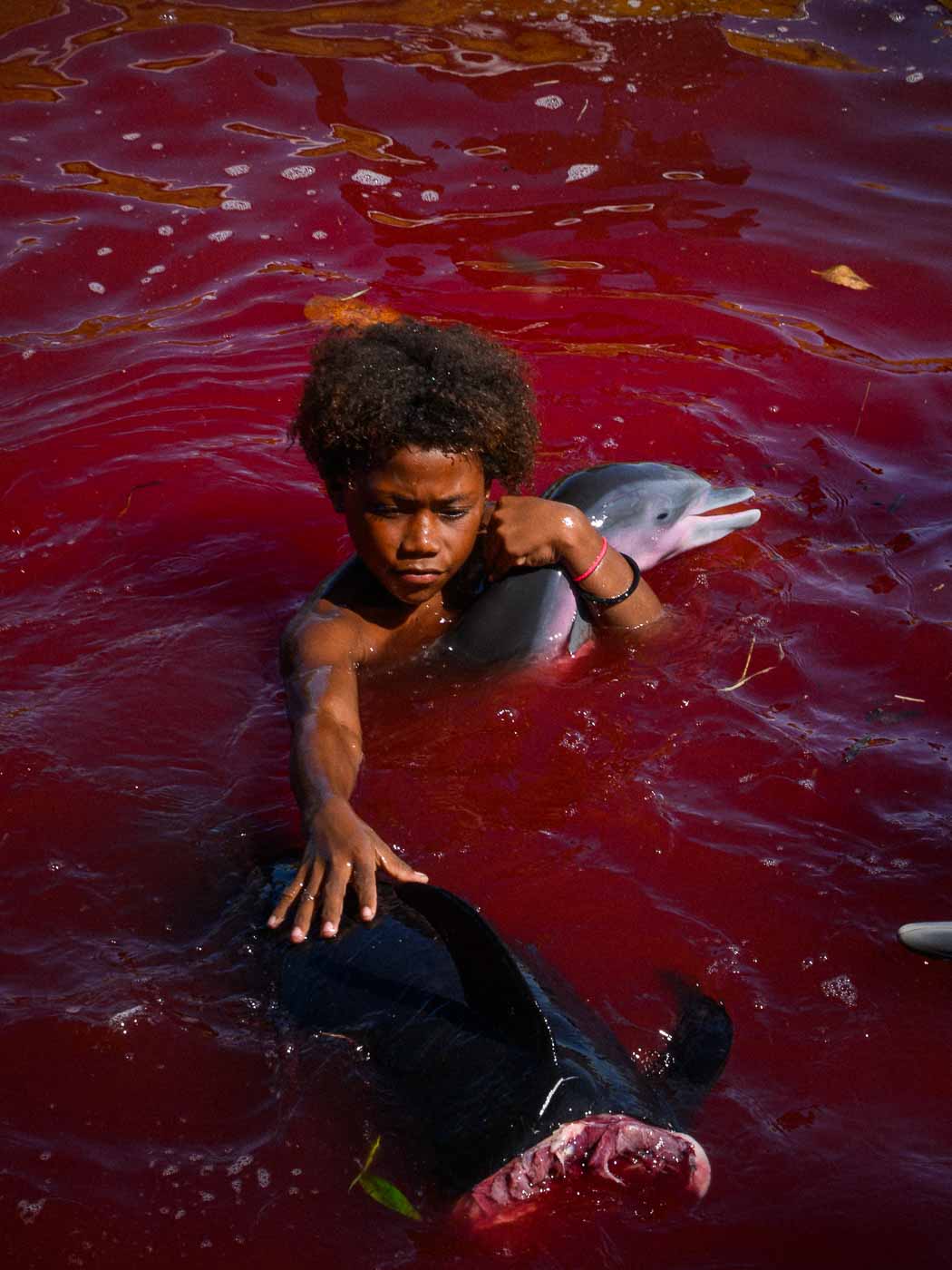 Earthy Animals — Matthew Abbott wildlife photography Australia