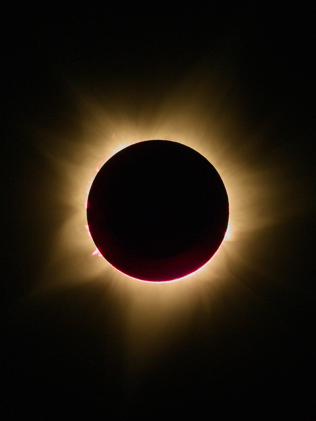 Earthy Animals — Matthew Abbott wildlife photography Australia