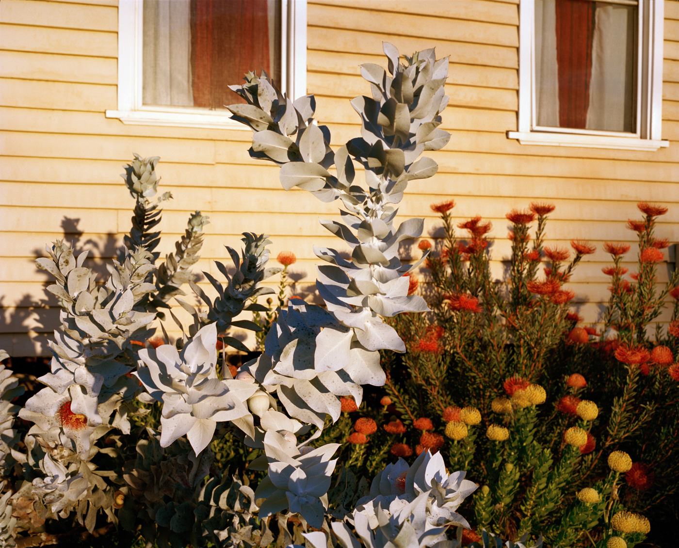 Highway One, Australia — Matthew Abbott photography