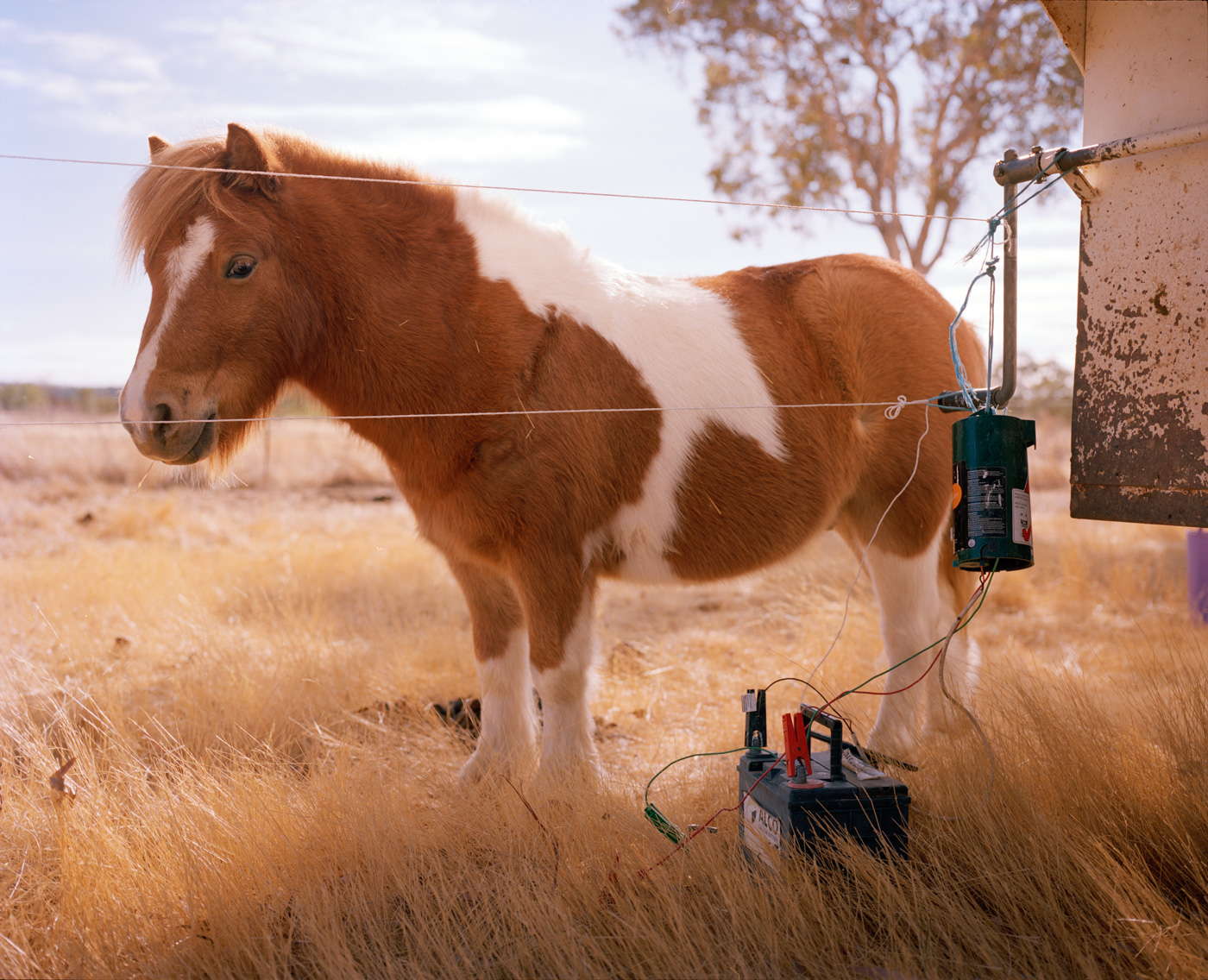 Highway One, Australia — Matthew Abbott photography