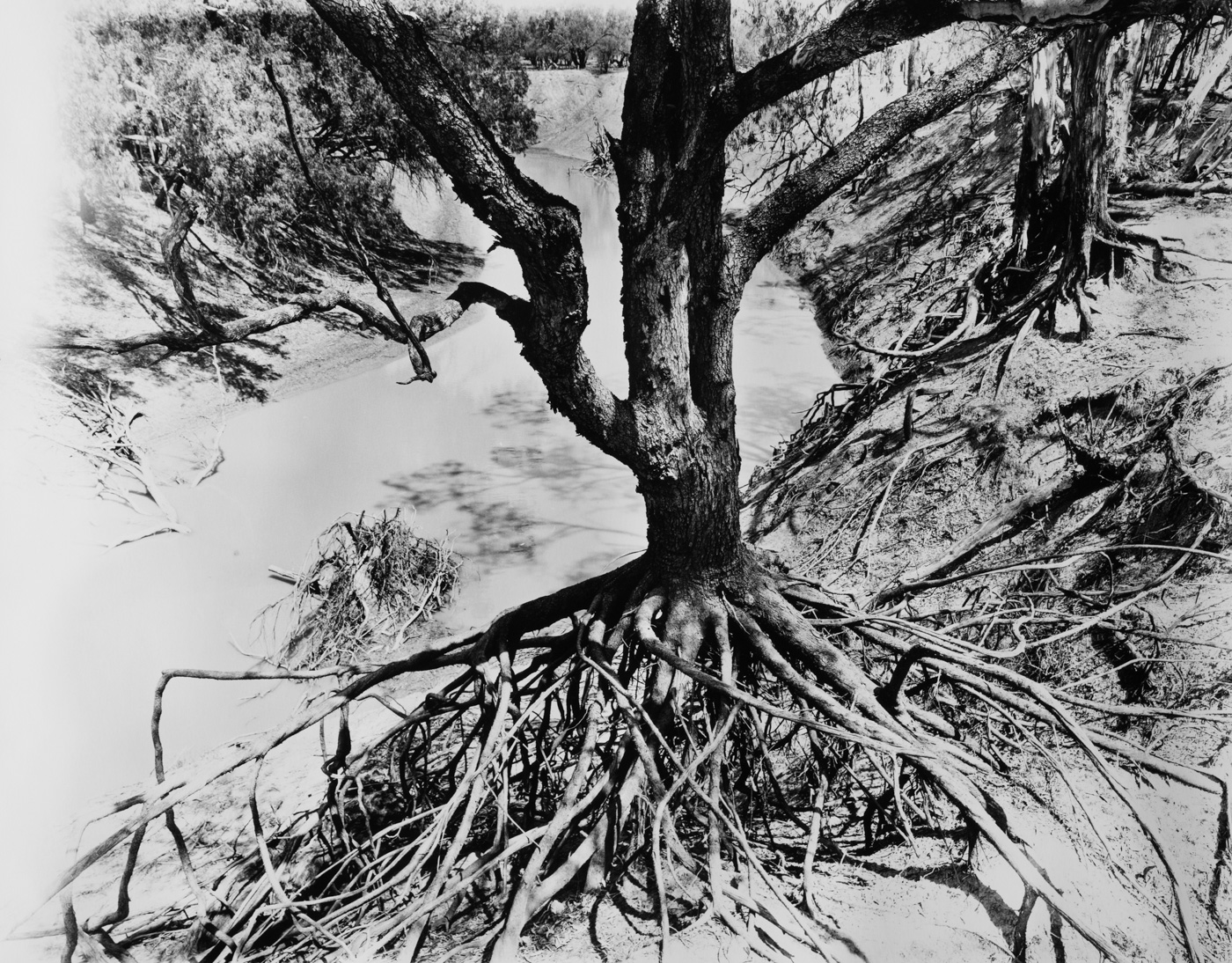 The Land Where the Crow Flies Backwards — Matthew Abbott documentary photography, outback Australia