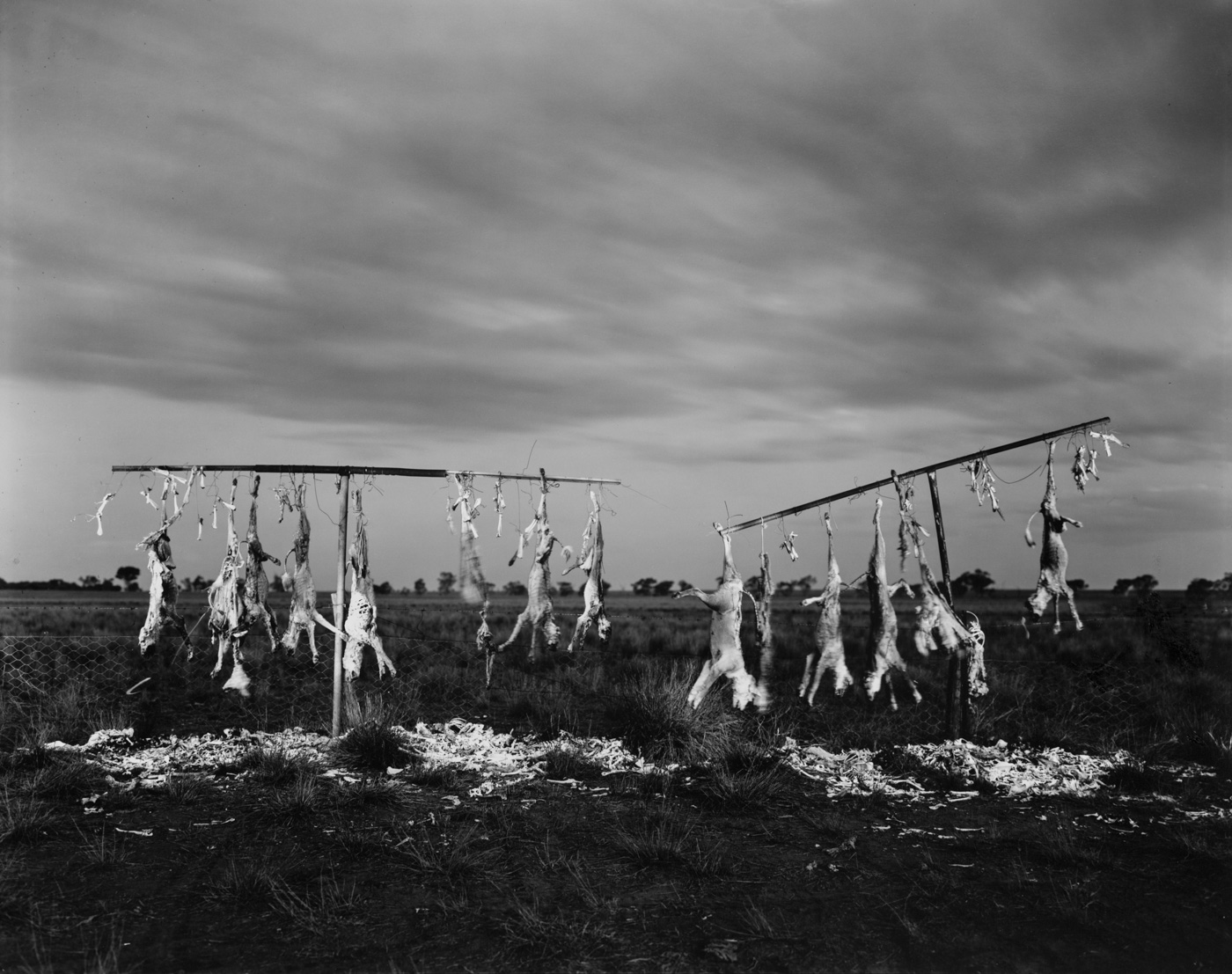 The Land Where the Crow Flies Backwards — Matthew Abbott documentary photography, outback Australia