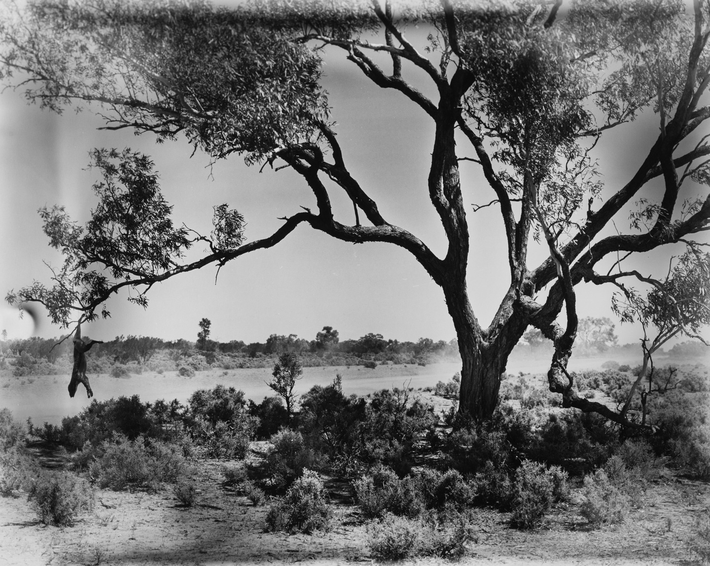 The Land Where the Crow Flies Backwards — Matthew Abbott documentary photography, outback Australia
