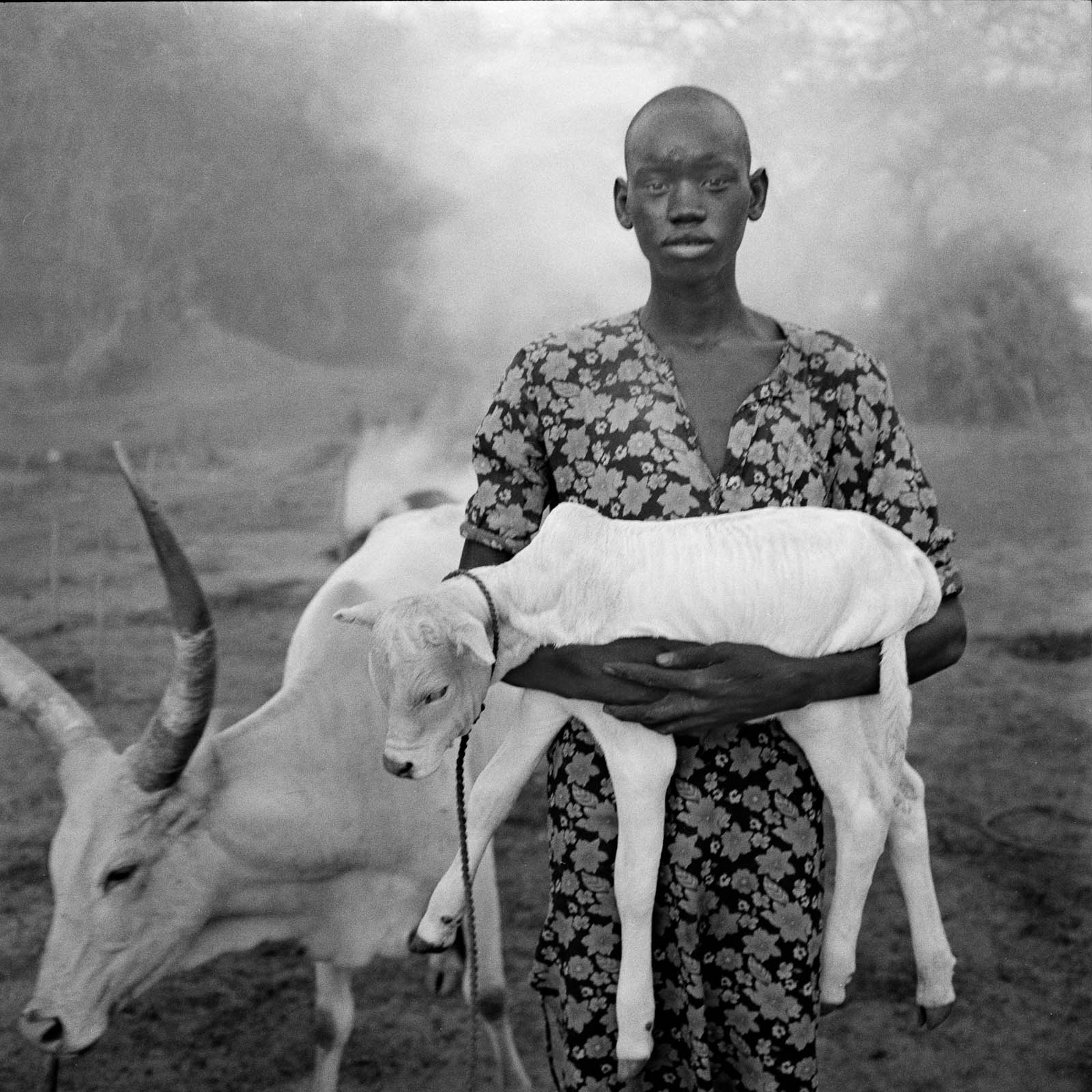 South Sudan Cattle Raiding — Matthew Abbott photojournalism